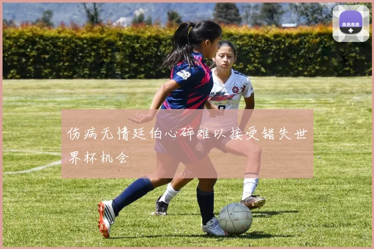 伤病无情廷伯心碎难以接受错失世界杯机会