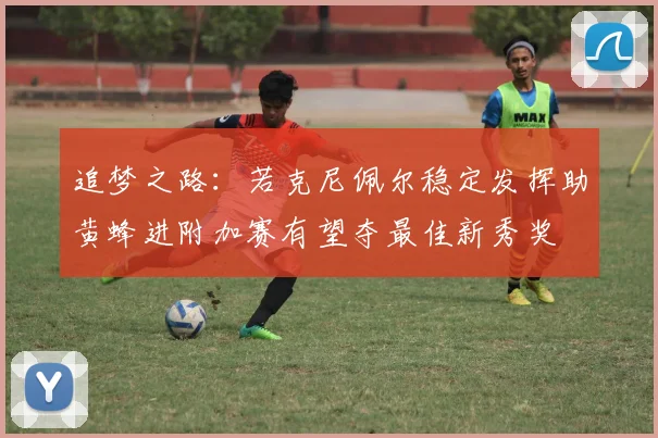 追梦之路：若克尼佩尔稳定发挥助黄蜂进附加赛有望夺最佳新秀奖