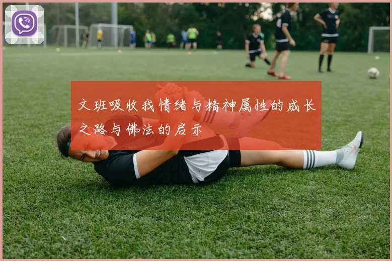文班吸收我情绪与精神属性的成长之路与佛法的启示