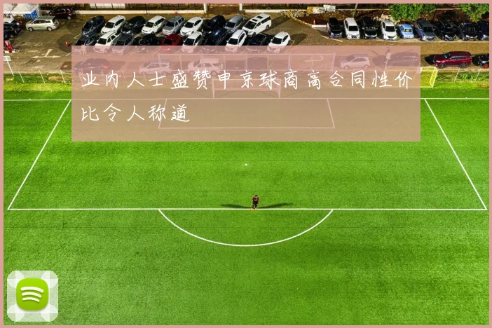 业内人士盛赞申京球商高合同性价比令人称道